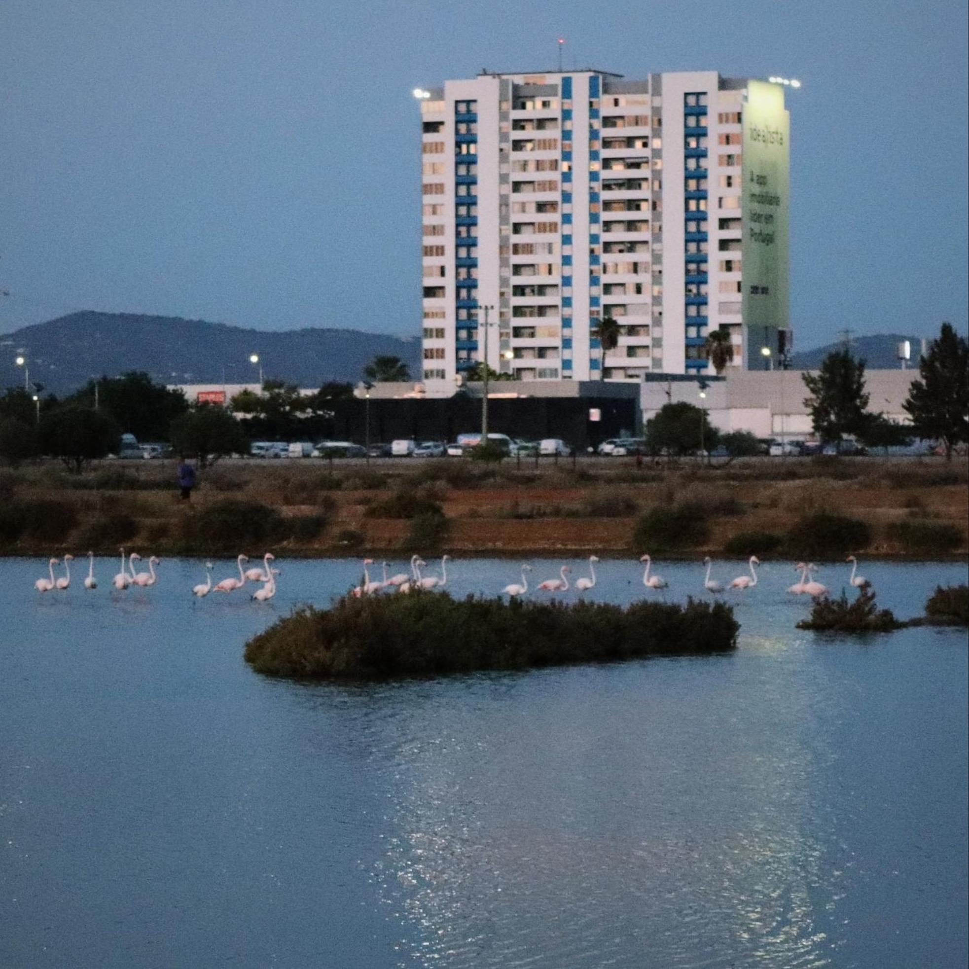 Sea View Apartment Фару Екстер'єр фото